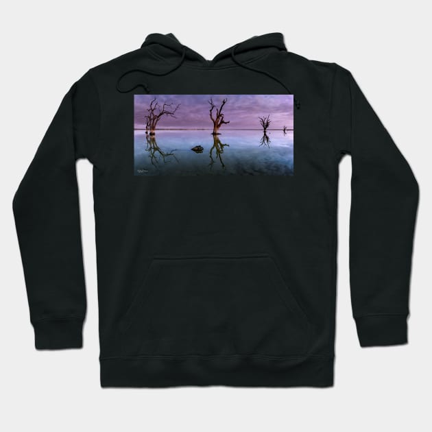 Ghost Gums Hoodie by lordveritas